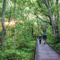 Escape to Nature in Currituck County: Exploring the Outer Banks Center for Wildlife Education and Pine Island Audubon Sanctuary