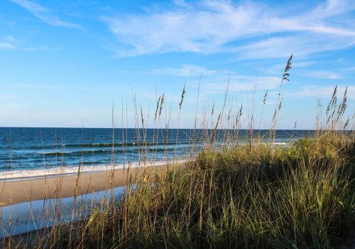Exploring the Wild Side: Tourist Attractions in Currituck County, NC