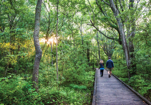 Escape to Nature in Currituck County: Exploring the Outer Banks Center for Wildlife Education and Pine Island Audubon Sanctuary